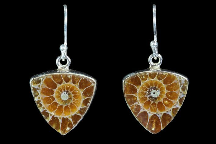 Fossil Ammonite Earrings - Sterling Silver #81634